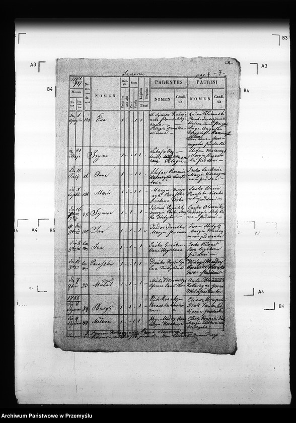 Obraz 12 z jednostki "[Kopie ksiąg metrykalnych parafii Szczerzec z filią Parypsy (dekanat Niemirów)]"