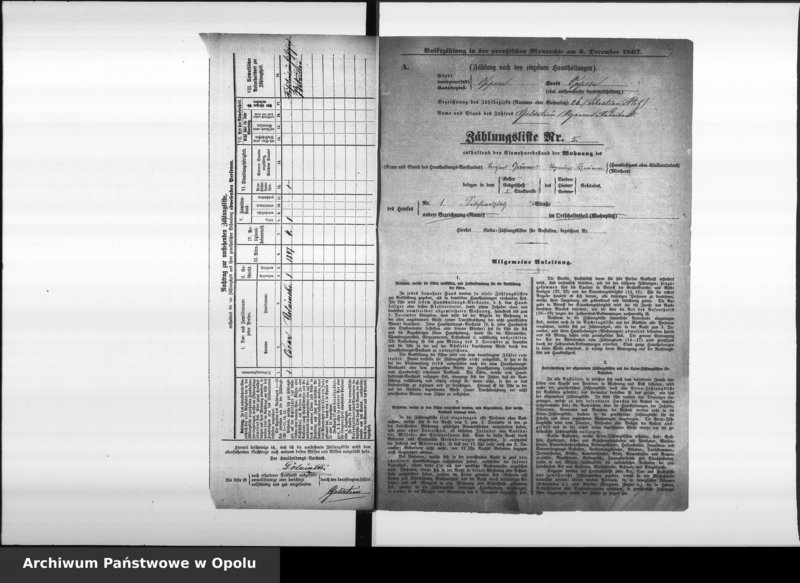 Obraz 13 z jednostki "Zählbezirk 26 [Spis ludności, 1867]"