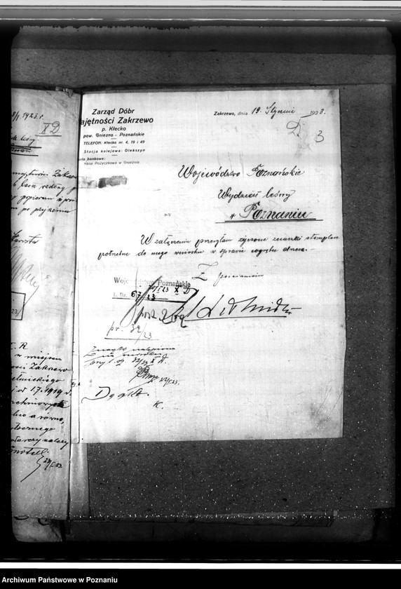 Obraz 7 z jednostki "/Nadzór nad gospodarką leśną/ majętności Zakrzewo powiecie gnieźnieńskim"