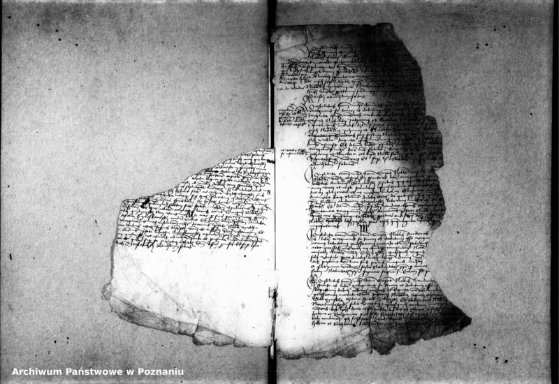 Obraz 13 z jednostki "Inscriptiones, relationes, decreta [protocollon]"