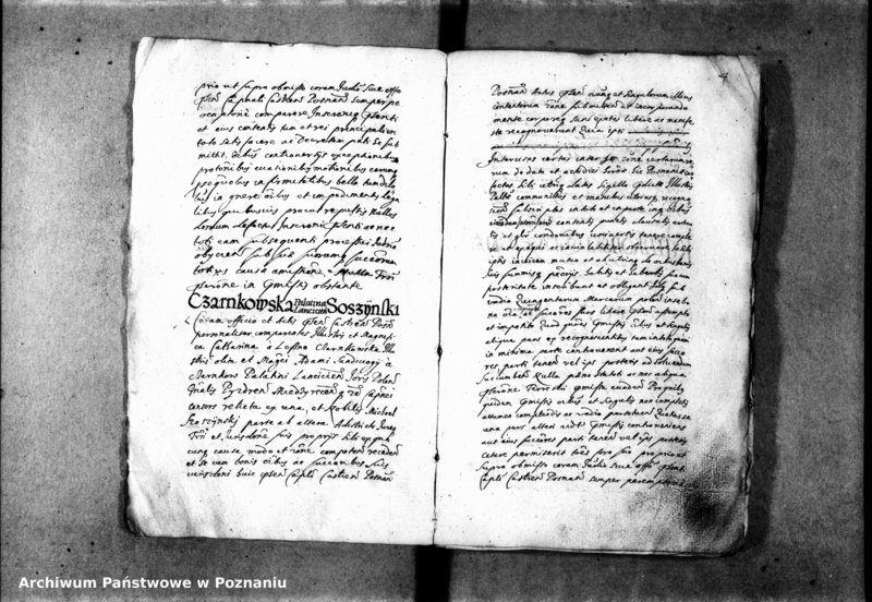 Obraz 9 z jednostki "Inscriptiones [inducta]"