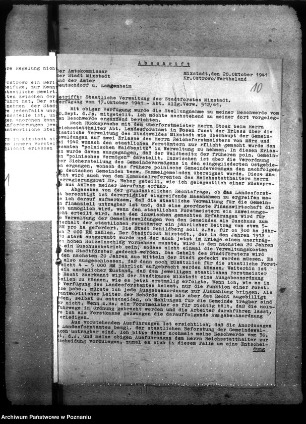 Obraz 14 z jednostki "Zarządzanie i gospodarowanie lasami gminnymi"