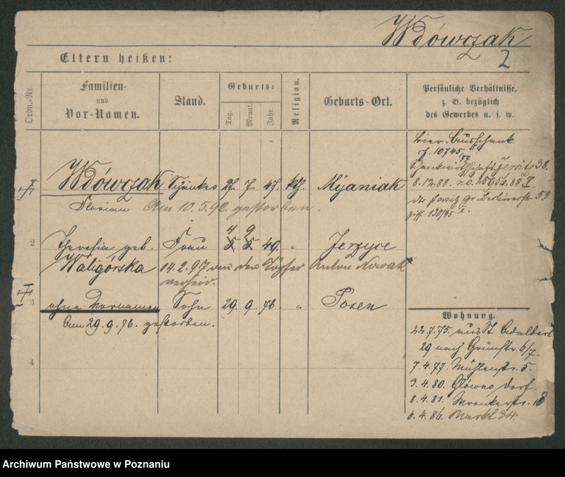 Obraz 8 z jednostki "Wdowczyk - Weber"