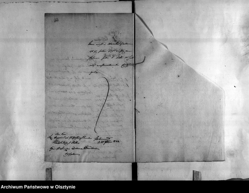 image.from.unit.number "Regierungs-Rath von Ernest"