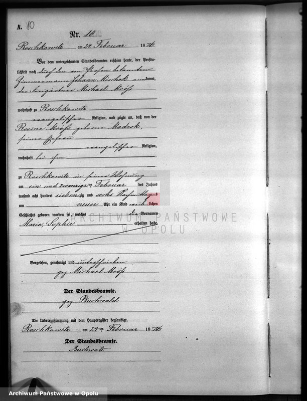 image.from.unit.number "Geburts-Neben-Register Standesamts Roschkowitz pro 1876"
