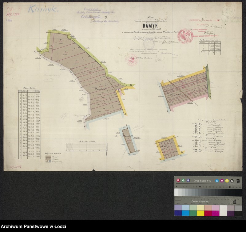 Obraz 1 z jednostki "Plan gruntów oddanych za serwituty podług dobrowolnej umowy z dnia 29 stycznia 1913 roku włościanom wsi Kamyk z majątku Kamyk, w województwie łódzkim, powiecie łaskim, gminie Dąbrowa Rusiecka"