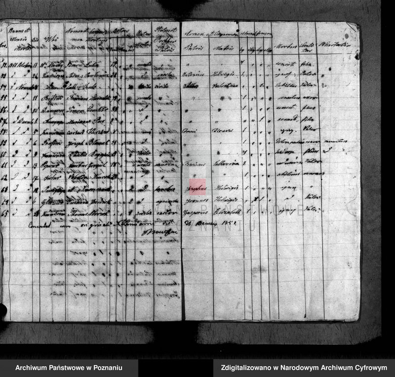 Obraz 18 z jednostki "Duplikat baptisatorum, copulatorum, mortuorum"