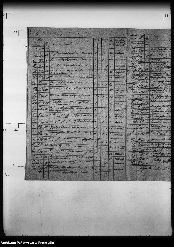 Obraz 13 z jednostki "[Kopie ksiąg metrykalnych parafii Nowa Wieś z filią Łosie (dekanat Muszyna)]"