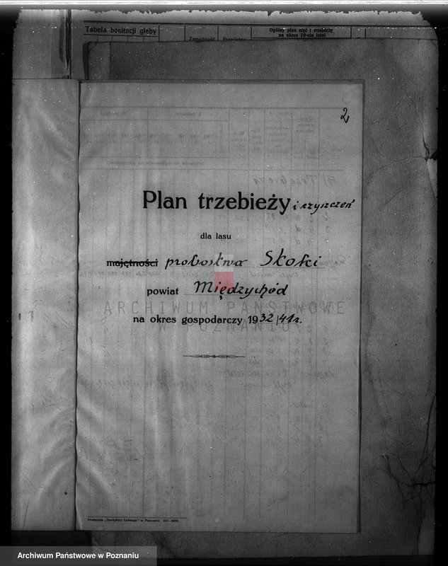 Obraz 6 z jednostki "Probostwo Stoki" powiat międzychodzki plan urządzenia gospodarstwa leśnego"