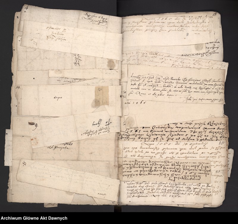 image.from.unit.number "Rekognicje poborowe z różnych województw."