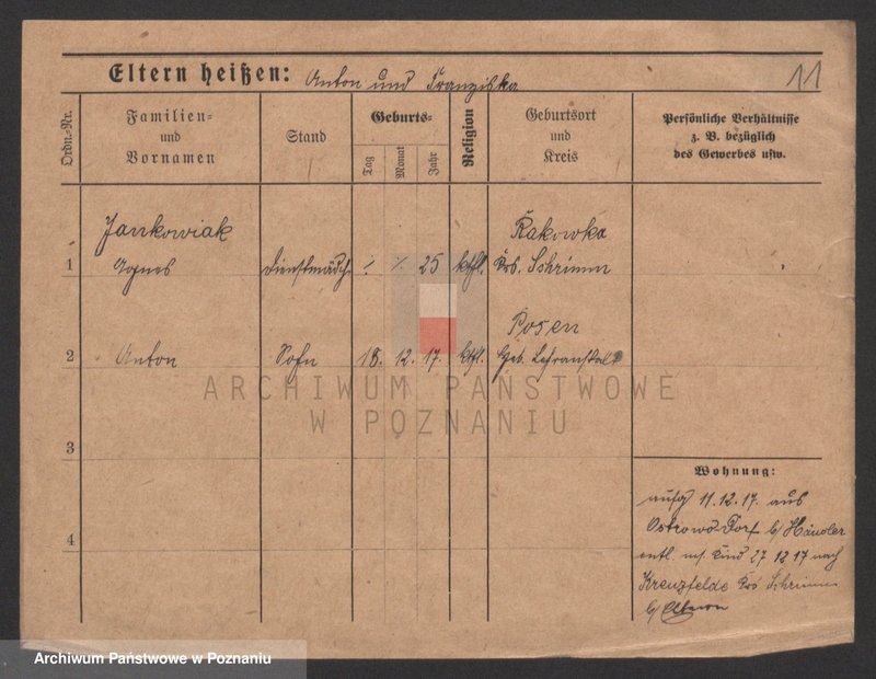 Obraz 11 z jednostki "Jankowiak (samotne kobiety)"