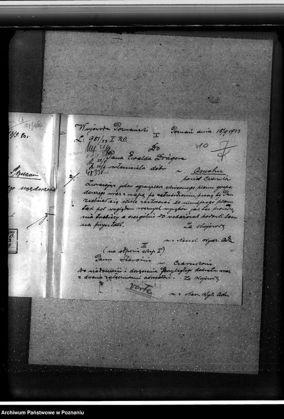 Obraz 14 z jednostki "/Nadzór nad gospodarką w lasach gminy Osuch w powiecie czarnkowskim własność Ewald Draeger"