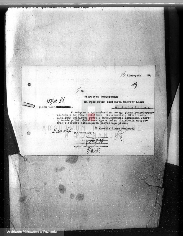 Obraz 18 z jednostki "Majętność /leśna/ Pamiątkowo powiat obornicki"