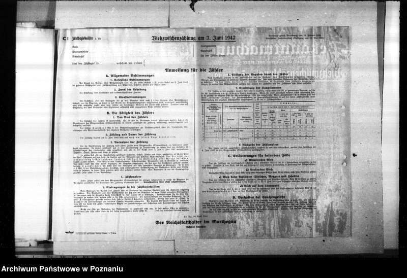 Obraz 20 z jednostki "Viehzählung (korespondencja, formularze)"