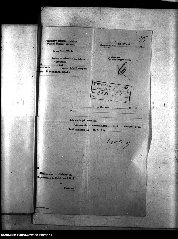 Obraz 19 z jednostki "Nosacizna - Kościerzyna"