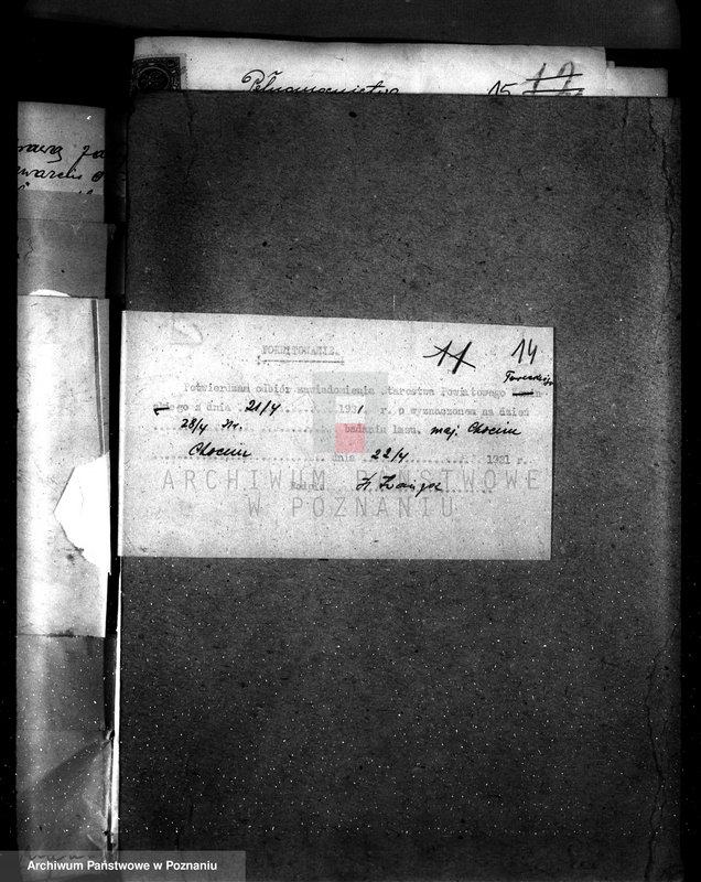 Obraz 19 z jednostki "Sprawa zmiany rodzaju użytkowania gruntów leśnych w majątku Chocim powiat turecki"