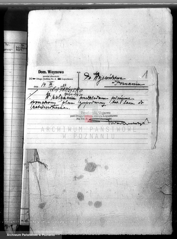 Obraz 5 z jednostki "Nadzór nad gospodarką w lasach majętności Wojnowo powiat obornicki"