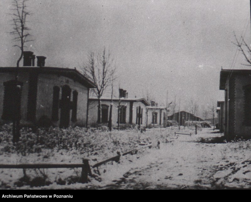 Obraz 3 z jednostki "Baraki w których byli zakwaterowani powstańcy wielkopolscy w Biedrusku pod Poznaniem."
