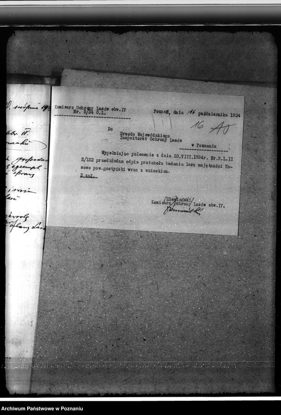 Obraz 20 z jednostki "Nadzór nad gospodarką w lasach majątku Kosowo w powiecie gostyńskim"