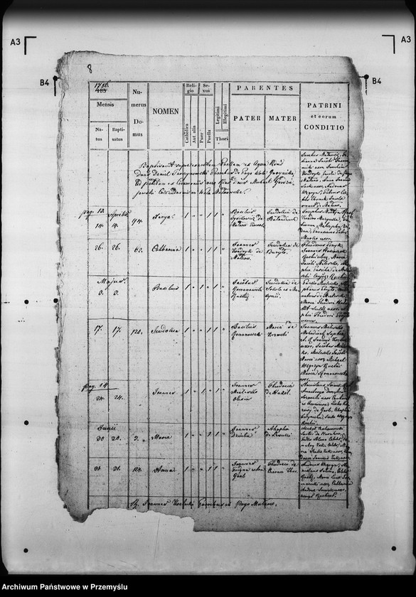 Obraz 13 z jednostki "[Kopie ksiąg metrykalnych parafii Małnów (dekanat Mościska)]"