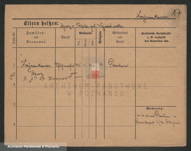 Obraz 17 z jednostki "Krzyżankiewicz - Kszyrski"