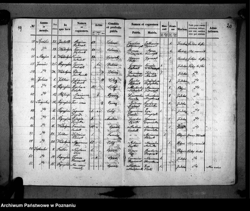 image.from.unit.number "Duplikat urodzonych, zaślubionych, zmarłych"