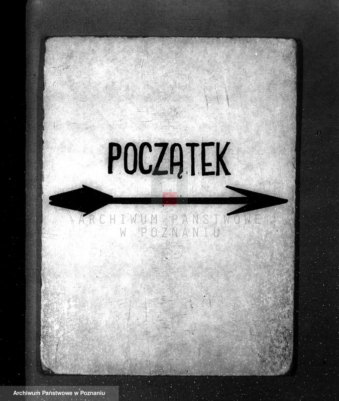 Obraz 3 z jednostki "Sprawozdanie z działalności organów ochrony lasów za rok 1932"