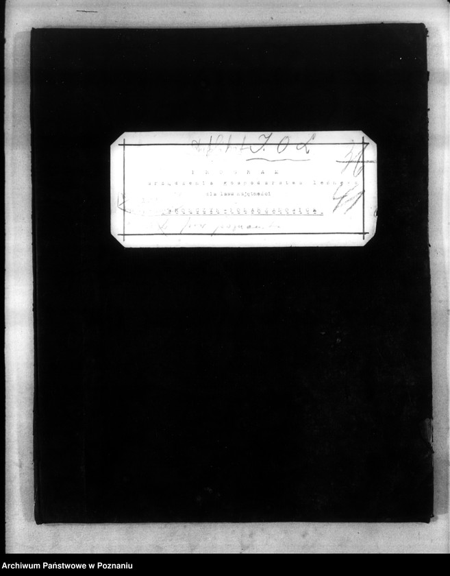 Obraz 4 z jednostki "Program urządzenia gospodarstwa leśnego dla lasu majętności Wronczyn-Pomarzanowice powiat poznański 1936-1946"