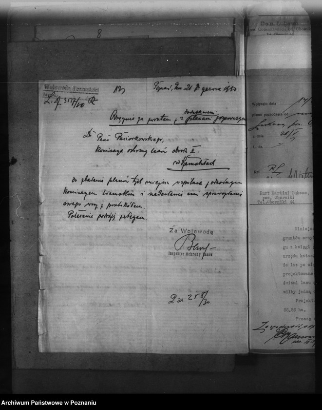 Obraz 18 z jednostki "Majętność leśna Łukowo powiat obornicki"