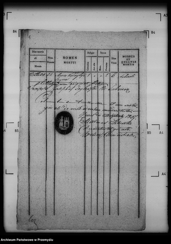 Obraz 9 z jednostki "[Kopie ksiąg metrykalnych parafii Siebieczów z filiami Leszczaków, Piwowszczyzna, Rusin, Wierzbiąż (dekanat Bełz)]"