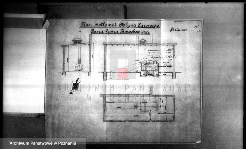Obraz 19 z jednostki "Młyn i olejarnia we wsi Ruda pow. obornicki, własność. L. Rosochowicz nr woj. 2461"