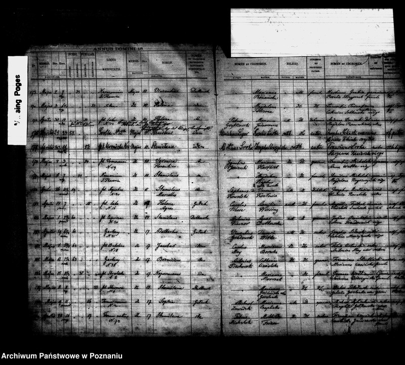 Obraz 14 z jednostki "Księga urodzin"