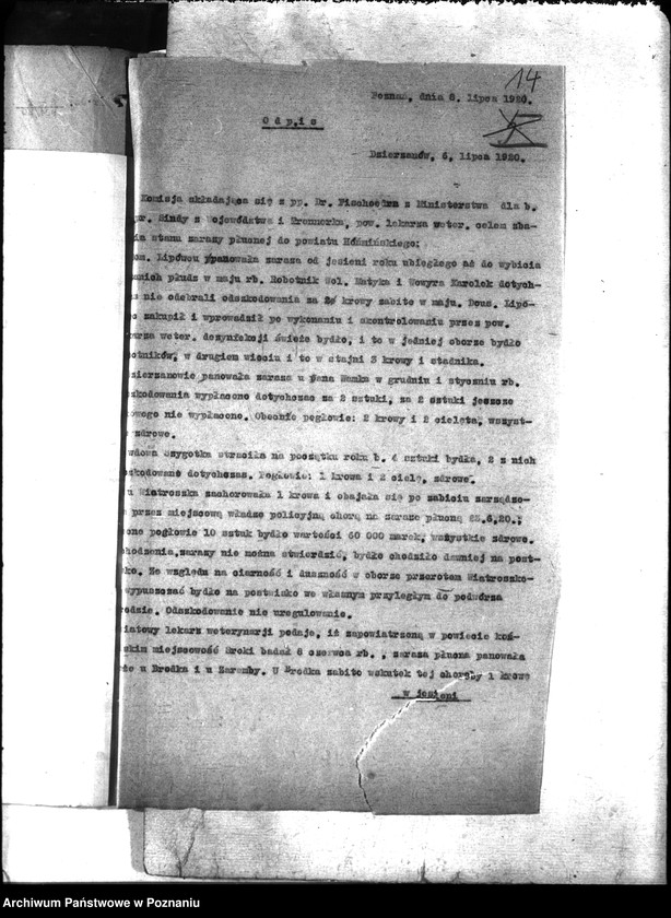 Obraz 18 z jednostki "Zaraza płucna - Koźmin"