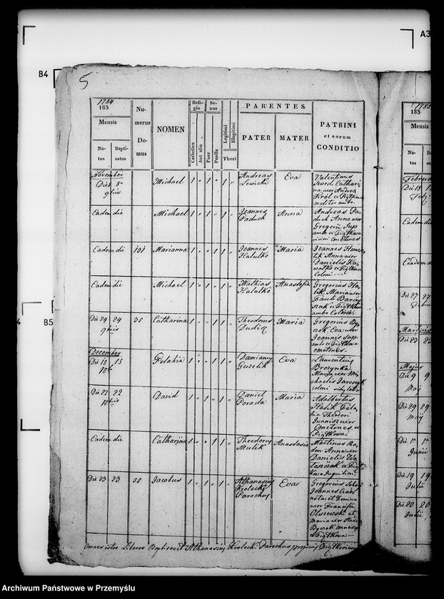 image.from.unit.number "[Kopie ksiąg metrykalnych parafii Piątkowa Ruska (dekanat Bircza)]"