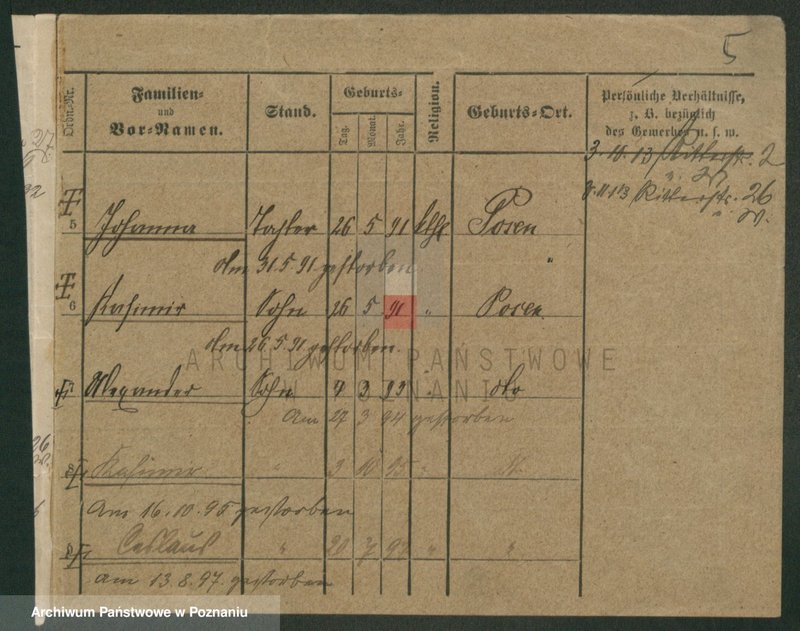 Obraz 13 z jednostki "Wąsicki - Wasilewski"