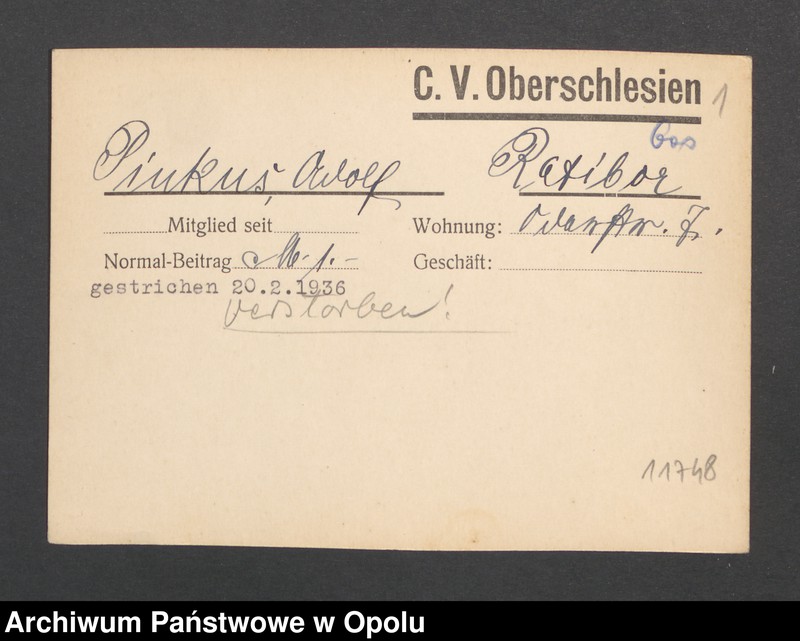 Obraz 3 z jednostki "[Pinkus Adolf, Ratibor]"