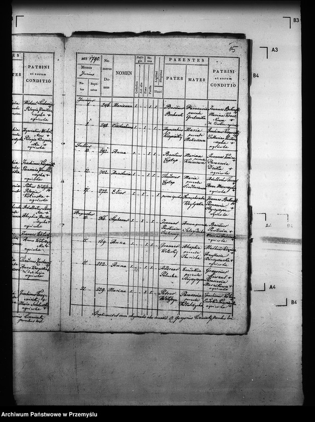 image.from.unit.number "[Kopie ksiąg metrykalnych parafii Majdan Sieniawski z filiami Adamówka, Krasne (dekanat Sieniawa)]"