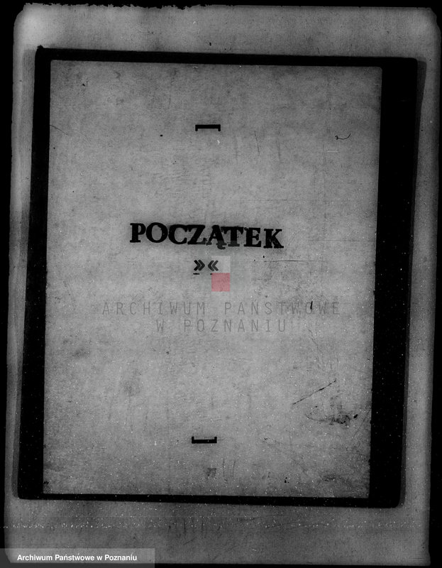 Obraz 3 z jednostki "Lustracja lasu majątku Zbiersk i Petryki powiatu kaliskiego oraz zatwierdzenie uzupełnienia planu gospodarstwa leśnego"