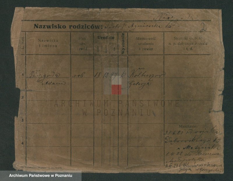 image.from.unit.number "Niezdarowa - Niklewski"
