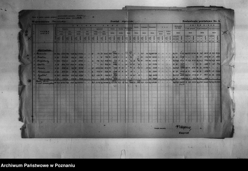 Obraz 6 z jednostki "/Statystyka produkcji rolnej - zestawienie zbiorów z 1930 r. z terenu powiatu kępińskiego/"