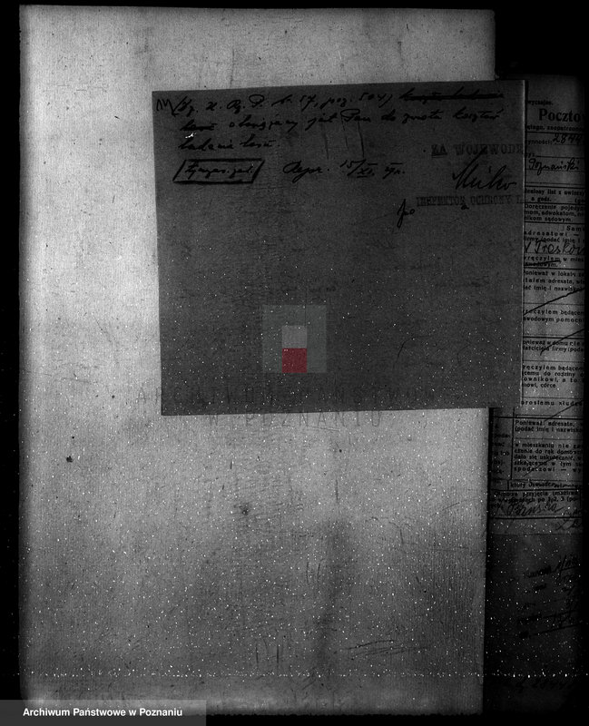 Obraz 18 z jednostki "Nadzór nad gospodarką w lasach majętności Owińska powiat poznański"