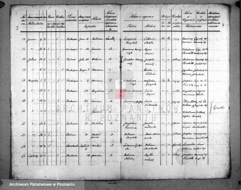 Obraz 4 z jednostki "Duplicatus baptisatorum"