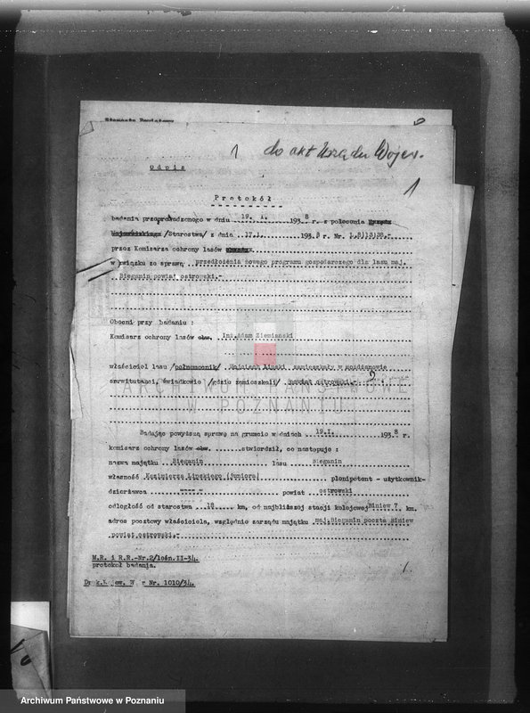 Obraz 5 z jednostki "Las majętności Bieganin powiat obornicki"