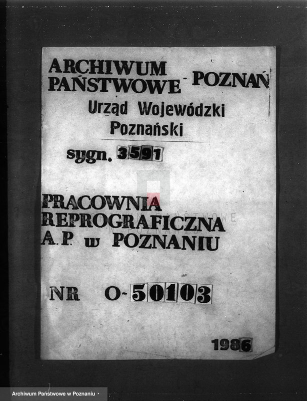 Obraz 1 z jednostki "Majętność leśna Mniszki w powiecie międzychodzkim"