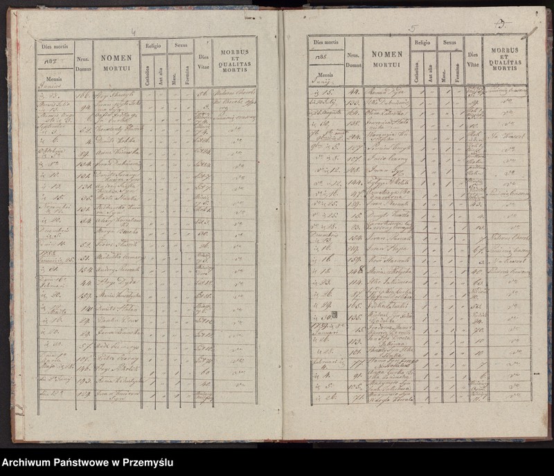 image.from.unit.number "Extractus libri metrices mortuorum in pago Radruż decanatu Lubaczoviensis incipiendo a die 16 Junij 1784 usque ad ultimam Decembris 1840 inclusive"