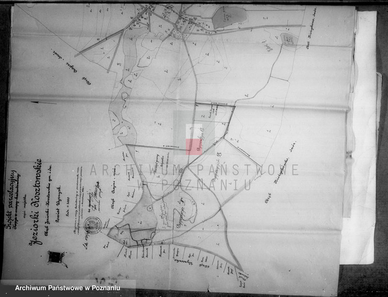 Obraz 10 z jednostki "Majątek Jeziorki Kosztowskie powiatu wyrzyskiego wyłączenie z art. 4/5 ustawy o wykonaniu reformy rolnej Ernst Buttner"