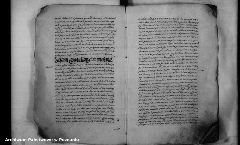 Obraz 9 z jednostki "Inscriptiones [inducta]"