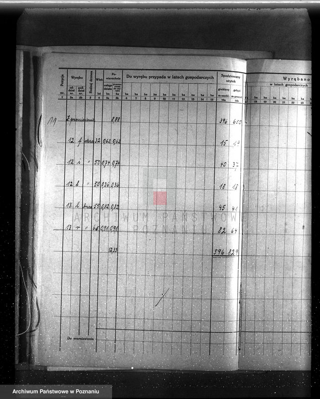 image.from.unit.number "/Szczegółowy plan zalesień i cięć lasu dla majętności Rudki powiat szamotulski 1929-1939"