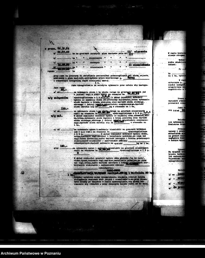 Obraz 8 z jednostki "Administracja przejściowa majątku Szydłowo powiatu mogileńskiego"