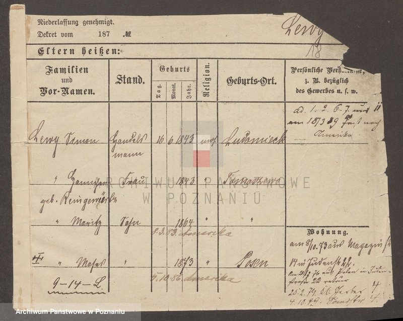 Obraz 19 z jednostki "Lewy - Libeke"